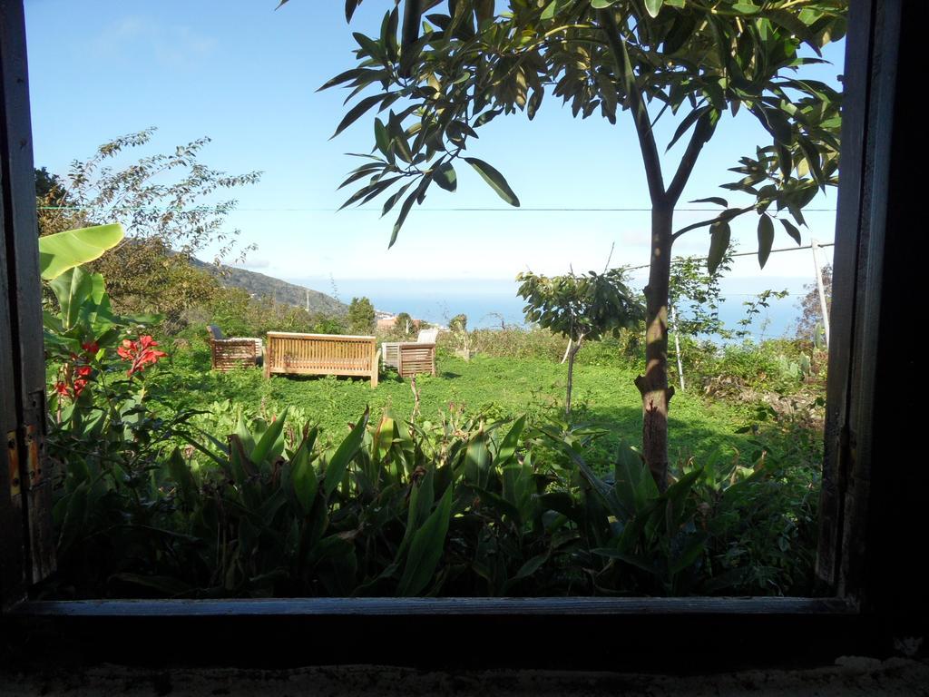 Finca Cueva Del Viento Икод де лос Винос Стая снимка
