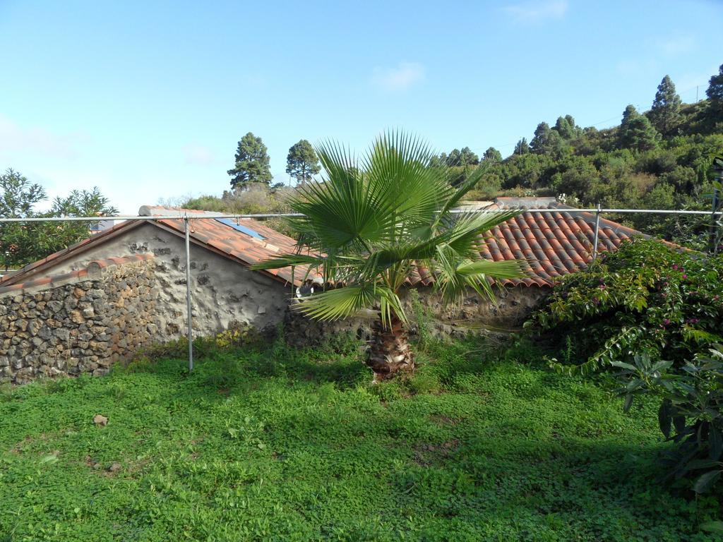 Finca Cueva Del Viento Икод де лос Винос Стая снимка