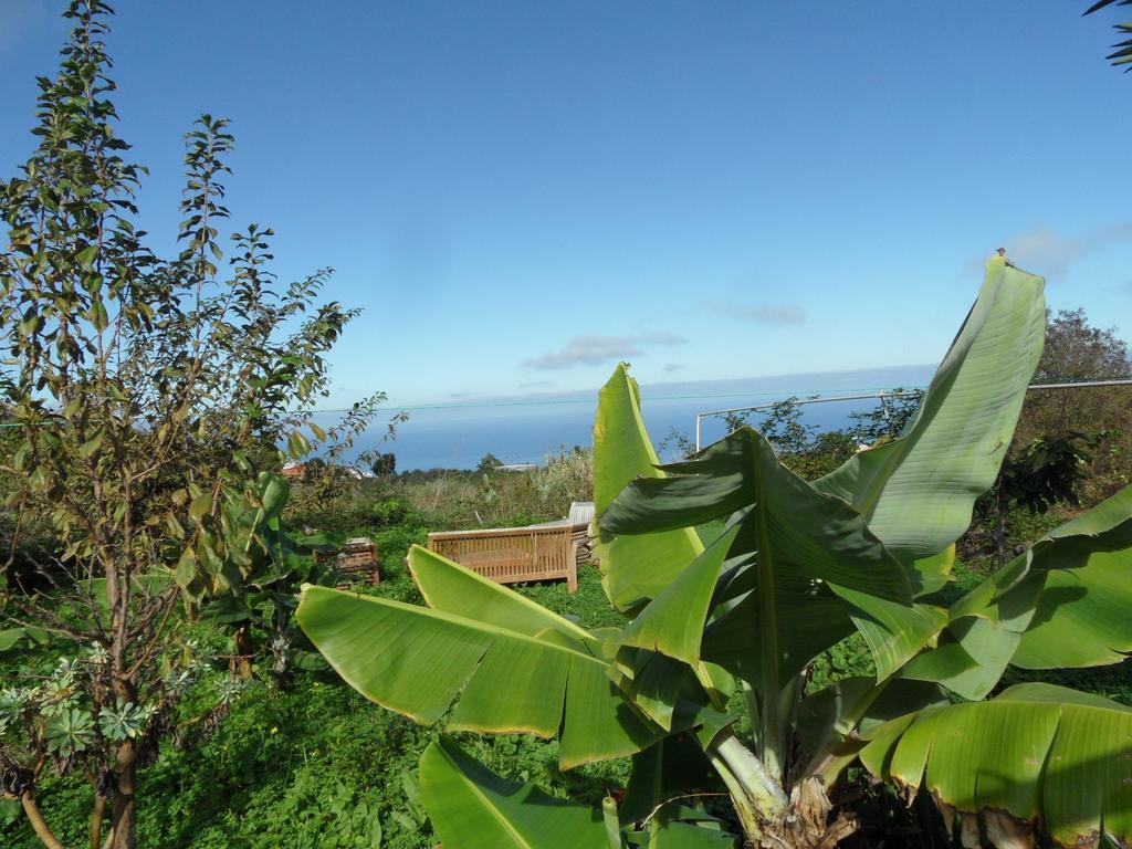 Finca Cueva Del Viento Икод де лос Винос Стая снимка