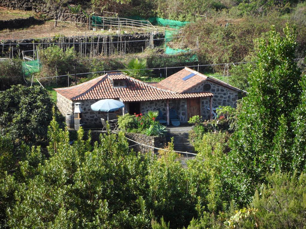 Finca Cueva Del Viento Икод де лос Винос Стая снимка